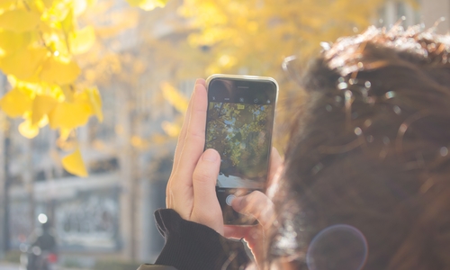 A person holds a smartphone up to take a picture of a tree