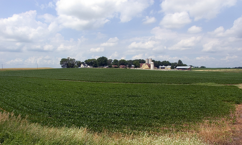 Farm field with farmstead