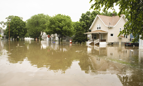Flooded neighborhood with a house and trees.