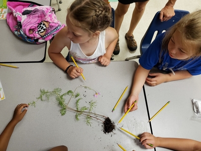 children point out the parts of a plant with pencils