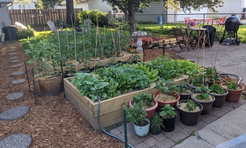 Raised garden beds and container gardening