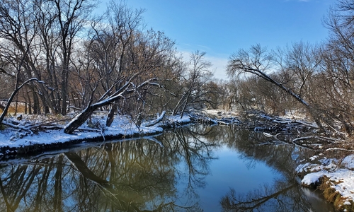 Pond in winter lined by snow-covered trees.