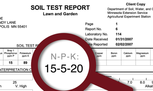 Detail of a soil test report with "N-P-K" highlighted with a looking glass.