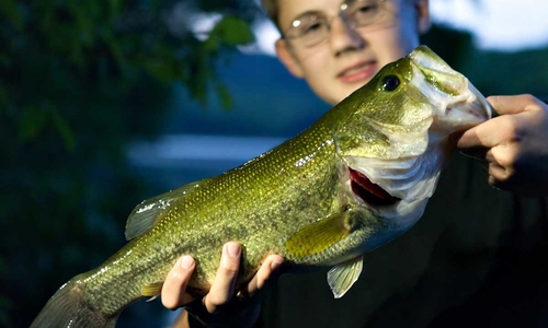 Teenager holds up bass.