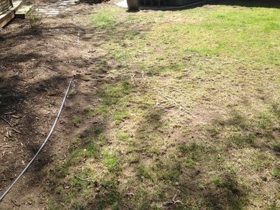 Sparse lawn needing repair