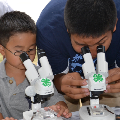 3 boys looking at microscopes