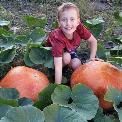 4-H'er smiles at the camera in the field with his two jumbo pumpkins