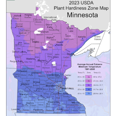 Screenshot of the 2023 USDA Minnesota Plant Hardiness Zone Map - a map of Minnesota with assigned colored zones