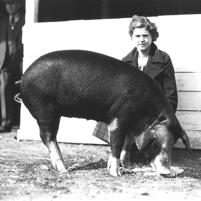 Teen girl crouches on the ground outside with her medium-large pig. There is a man in the background wearing a suit.