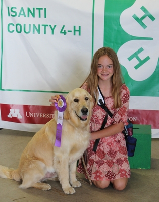 4-H'er smiling for photo with ribbon and Golden Retriever