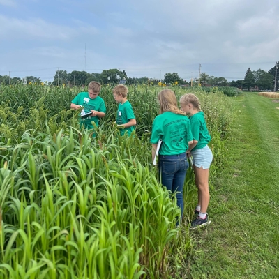 A small group of youth wearing matching green shirts inspecting a field outside.