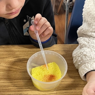 A close up of youth completing an activity with a pipette and a yellow sponge in a cup.