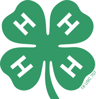 4-H clover