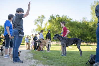 youth participating in dog training