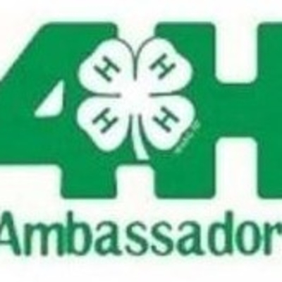 4-H Ambassadors