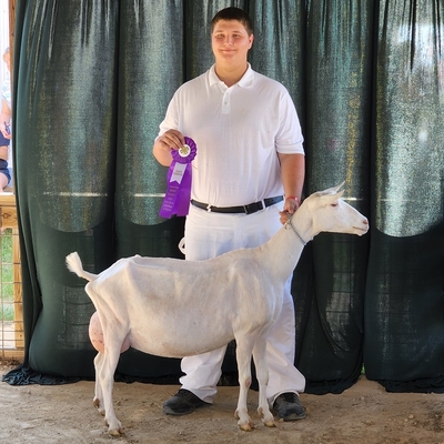 4-H'er Alex E. posing with ribbon and dairy goat