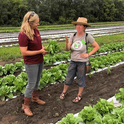 Two people discuss on-farm food safety in a field of edible greens