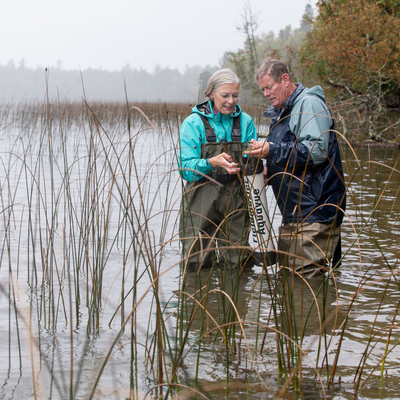 Two people standing in a shallow lake looking at plants from the water