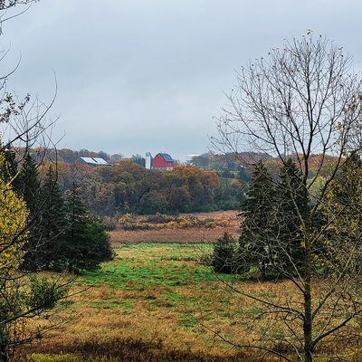 Landscape in fall with a red barn and silo in the distance.