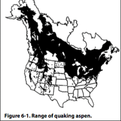 Map showing geographic range of aspen trees in the United States and Canada