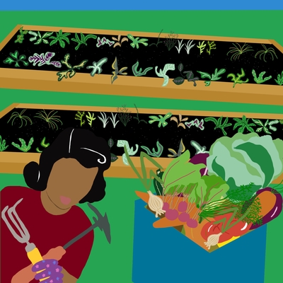 Illustration of gardener next to two raised beds with a box of vegetables.