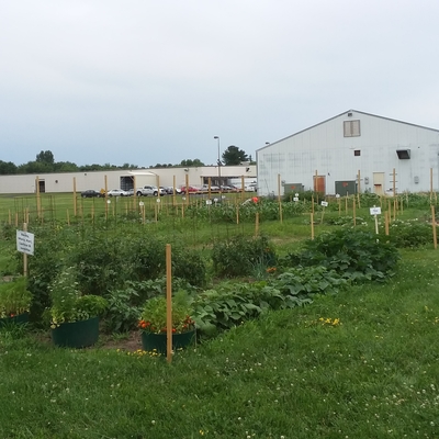 Community garden with fenced plots and large out building in the background.