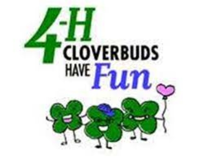 Cloverbuds