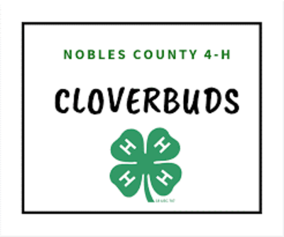 Nobles County Cloverbud