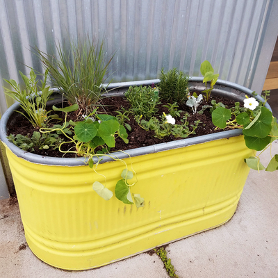 A variety of vegetables and flowers growing in a metal container.
