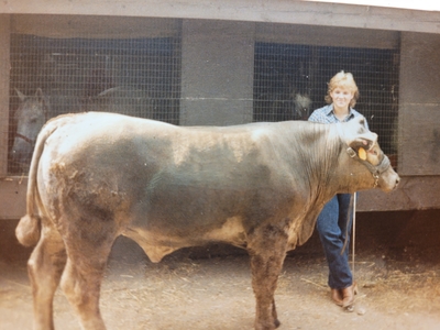 Darcy with steer