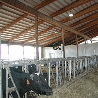 Dry cow barn
