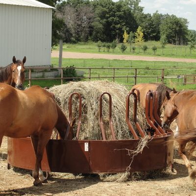 Horses eating from a round bale feeder.