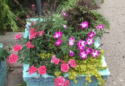 planter with purple and pink flowers