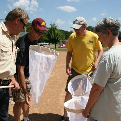 volunteers look at insects they caught in nets for research