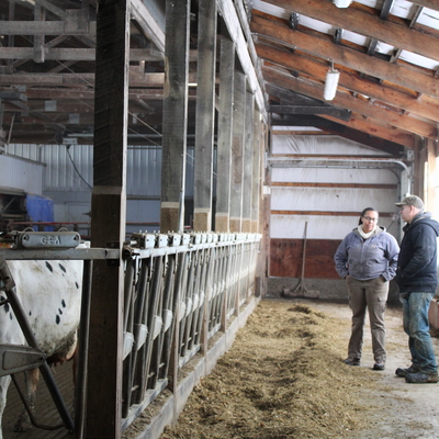 Dairy farmer in barn