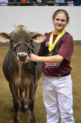 4-H'er Wyatt B. posing for photo with Brown Swiss heifer