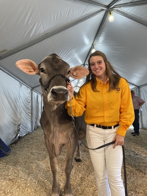Abby F. with Brown Swiss cow