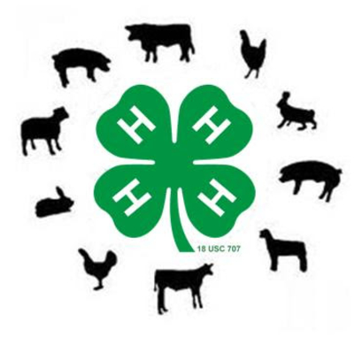 Livestock surrounding a green 4-H clover