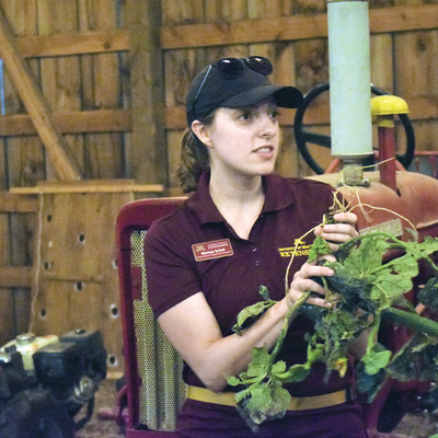 Marissa looks at bugs on a plant inside a barn with an old fashioned tractor behind her