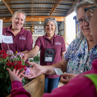 Two Master Gardeners show off a flowering plant to two county fair visitors. A sign about pollinators is behind them. 