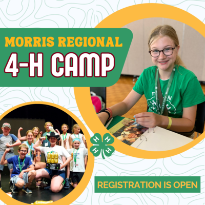 youth participating at morris regional 4-h camp