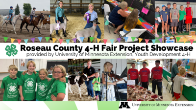 Roseau County 4-H Fair Project Showcase photos