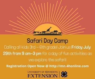safari day camp