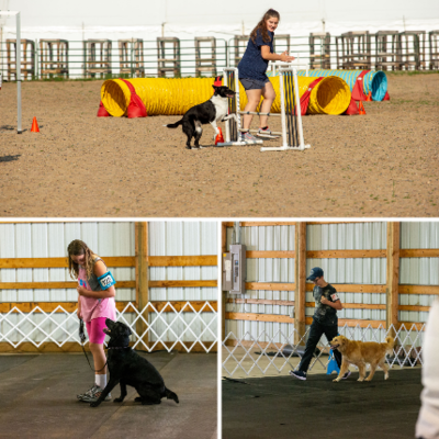 Minnesota 4-H'ers participate in the state dog show.