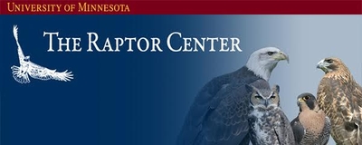 The Raptor Center photo