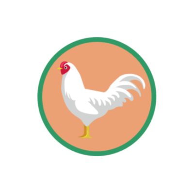 A graphic of a chicken