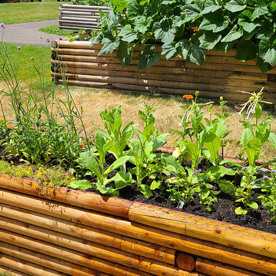 Raised garden bed made of wood in a grassy area with other gardens in the background.