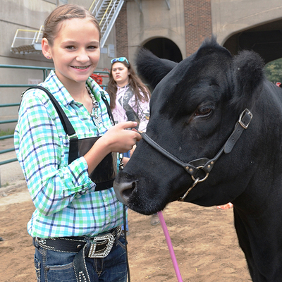 A girl smiling holding the harness of a black beef cattle exhibit.