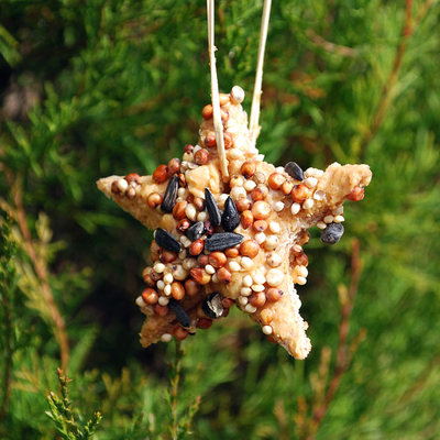 An ornament made from birdseed hangs on a tree