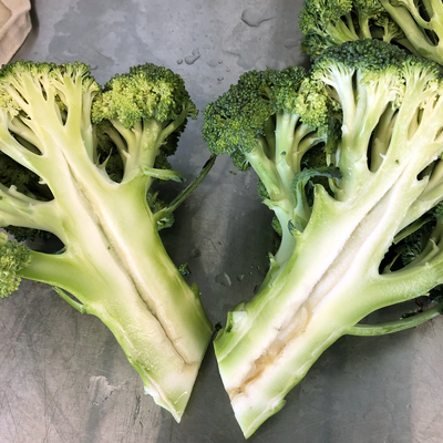 Broccoli head cut in half the long way on a metal surface; the stem is hollow and slightly brown in the hollow areas.